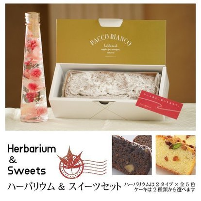 _keiro_herbarium.jpg
